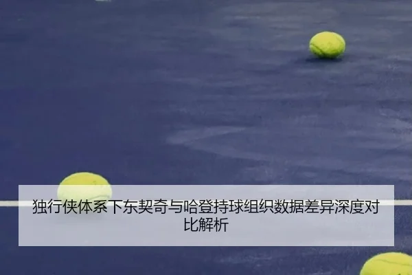 独行侠体系下东契奇与哈登持球组织数据差异深度对比解析